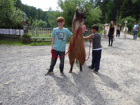 Lamatrekking Lamatrekking