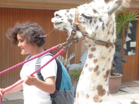 Lamatrekking Lamatrekking